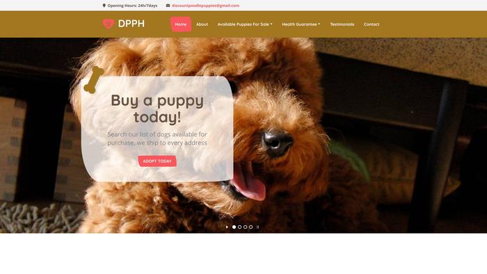 Discountpoodlepuppies.com - Poodle Puppy Scam Review