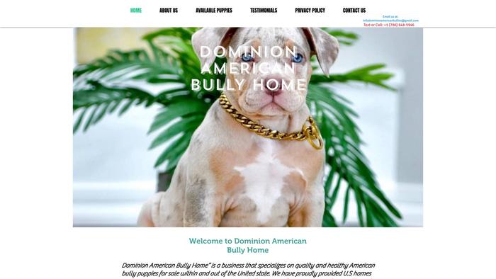 Dominionamericanbully.com - Pit Bull Puppy Scam Review