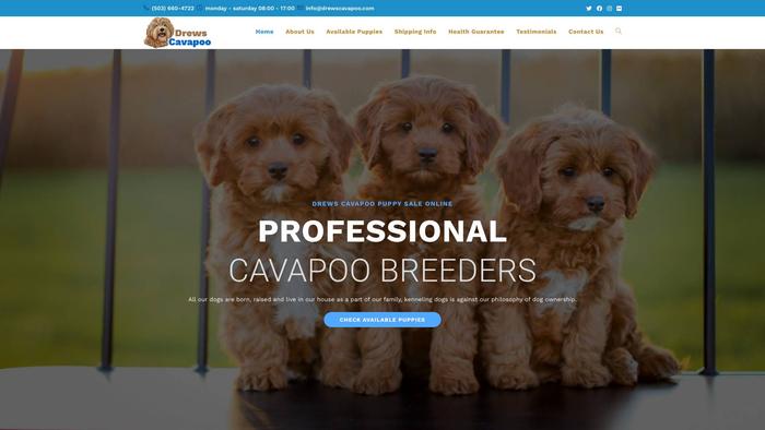 Drewscavapoo.com - Cavapoo Puppy Scam Review