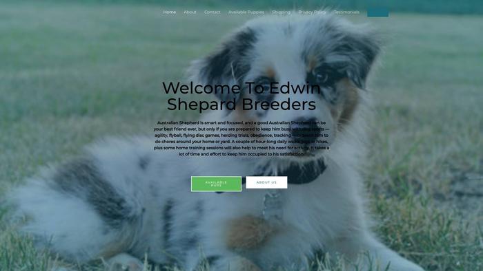 Ediwinaussie.com - Australian Shepherd Puppy Scam Review