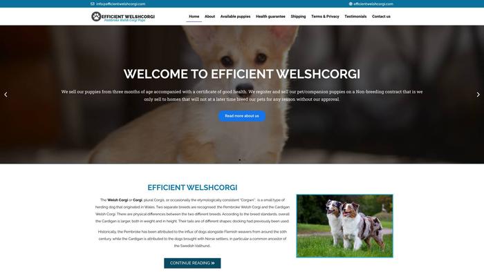 Efficientwelshcorgi.com - Corgi Puppy Scam Review