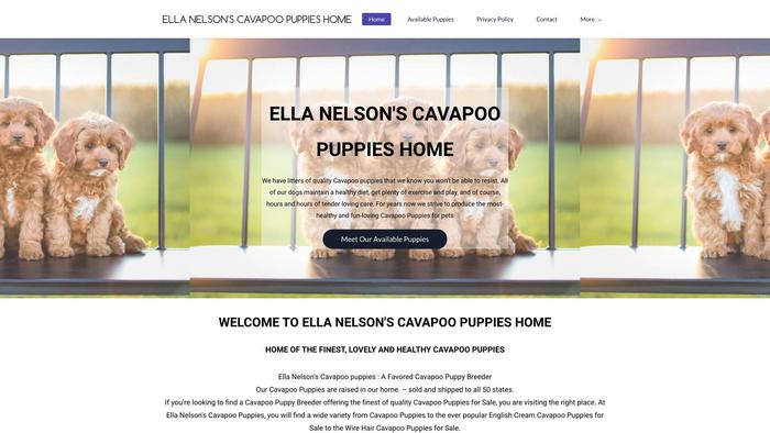 Ellanelsonscavapoopuppies.com - Cavapoo Puppy Scam Review