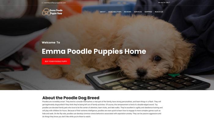 Emmapoodlepuppieshome.com - Poodle Puppy Scam Review