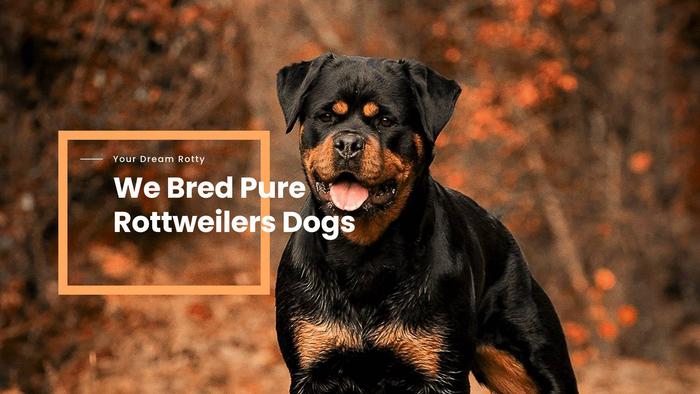 Empiresrottweilers.com - Rottweiler Puppy Scam Review