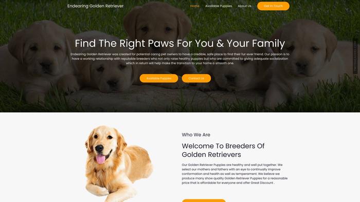 Endearinggoldenretriever.com - Golden Retriever Puppy Scam Review