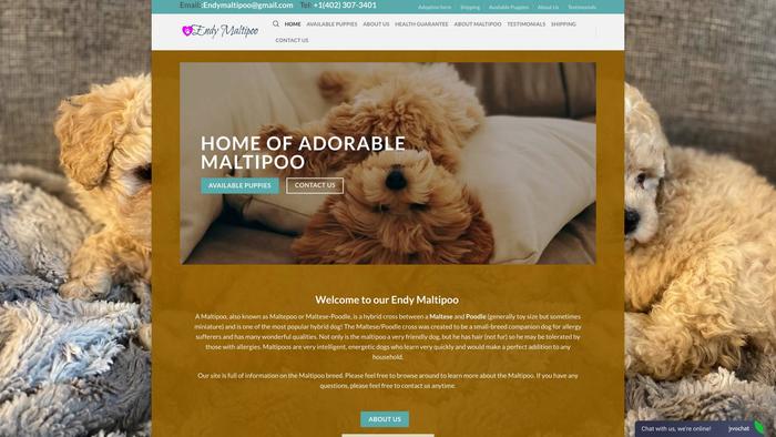 Endymaltipoo.com - Maltipoo Puppy Scam Review