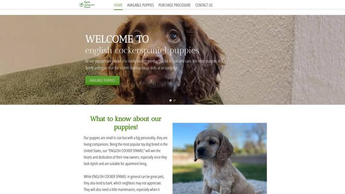 Englishcockerspaniel-puppies.com - Cockerspaniel Puppy Scam Review