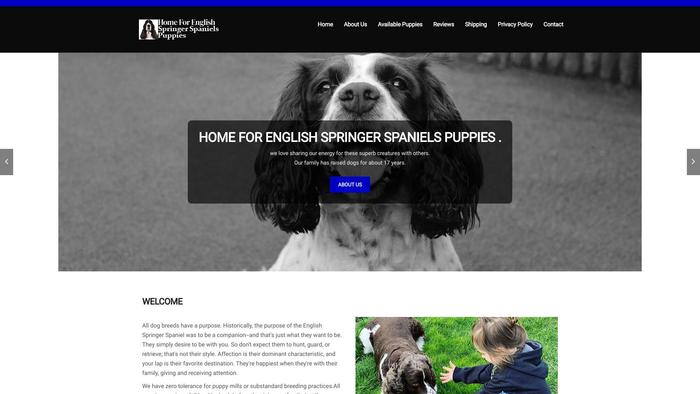 Englishspringerspanielspups.com - Spaniel Puppy Scam Review