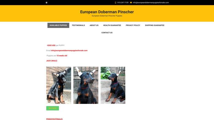 Europeandobermanpuppiesforsale.com - Doberman Pinscher Puppy Scam Review