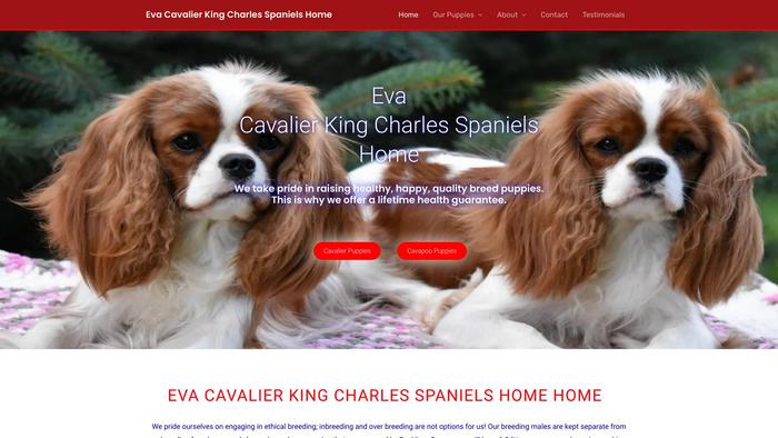 Evacavalierkingcharlesspanielhome.com - Cavalier King Charles Spaniel Puppy Scam Review