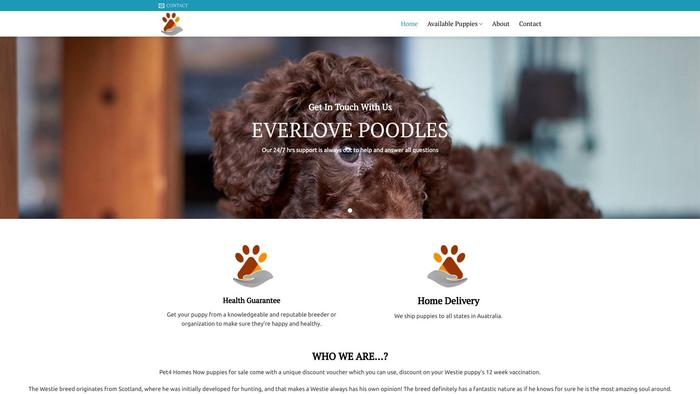 Everlovepoodles.com - Poodle Puppy Scam Review