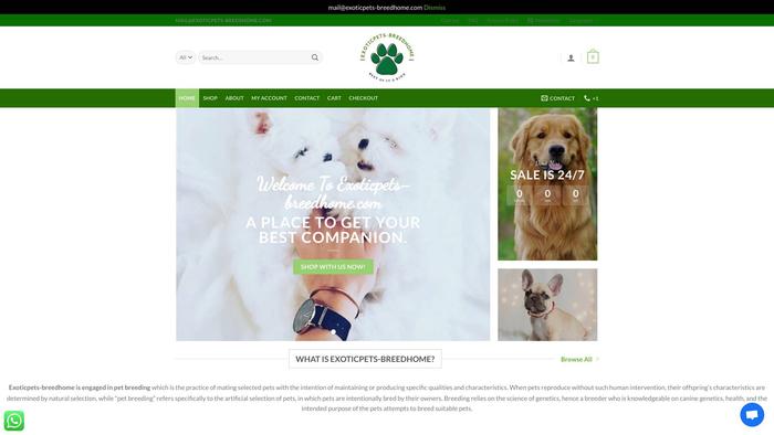 Exoticpets-breedhome.com - Golden Retriever Puppy Scam Review