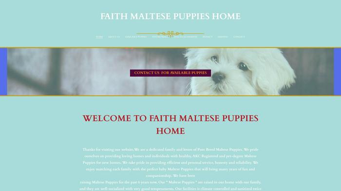 Faithmaltesepuppieshome.com - Maltese Puppy Scam Review