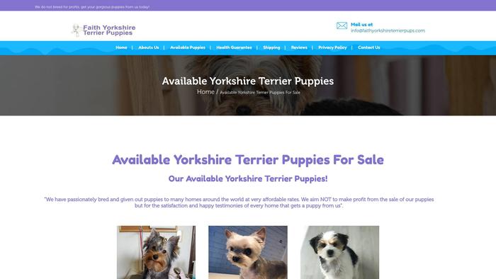 Faithyorkshireterrierpups.com - Terrier Puppy Scam Review