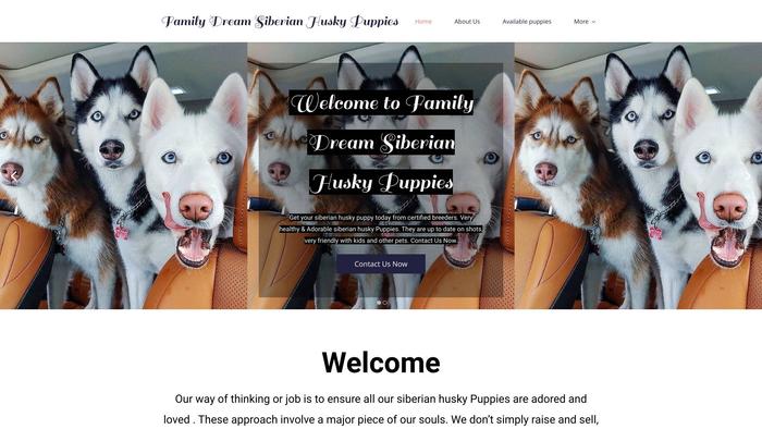 Familydreamsiberianhuskypuppies.com - Husky Puppy Scam Review