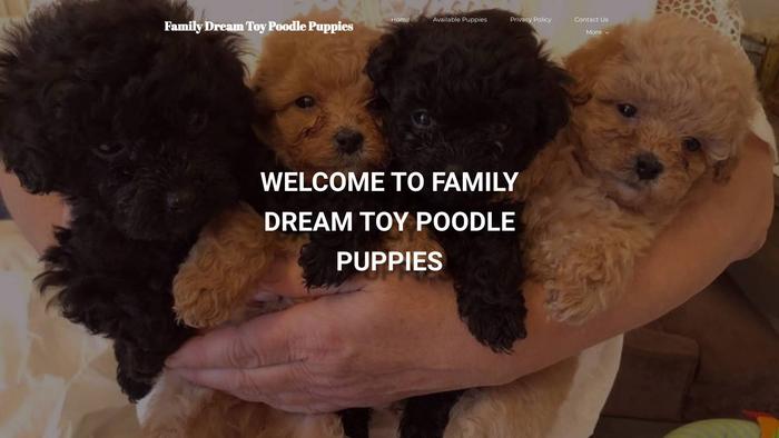 Familydreamtoypoodlepuppies.com - Poodle Puppy Scam Review