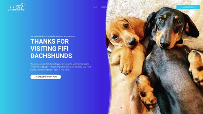 Fifidaschundpuppies.com - Dachshund Puppy Scam Review