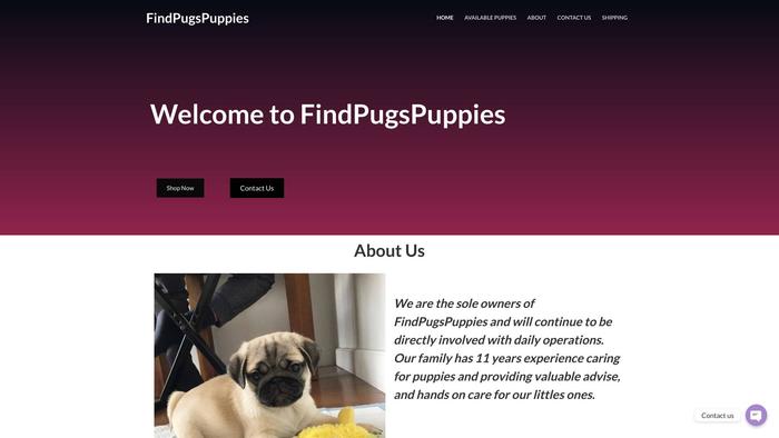 Findpugspuppies.com - Pug Puppy Scam Review