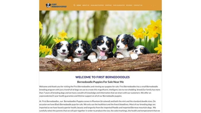 Firstbernedoodles.com - Bernedoodle Puppy Scam Review