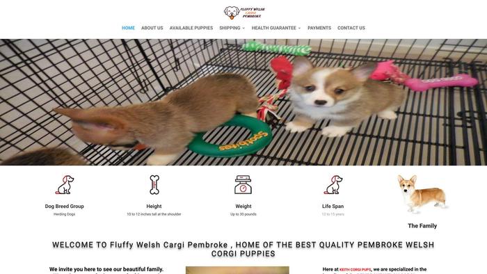 Fluffywelshcargipembroke.com - Corgi Puppy Scam Review