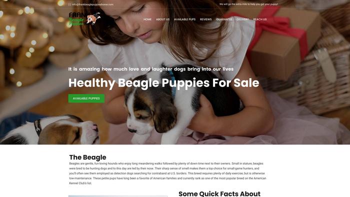 Frankbeaglepuppieshome.com - Beagle Puppy Scam Review