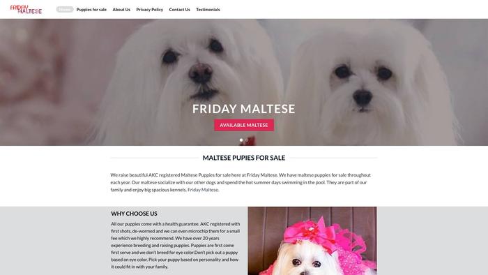 Fridaymaltese.com - Maltese Puppy Scam Review