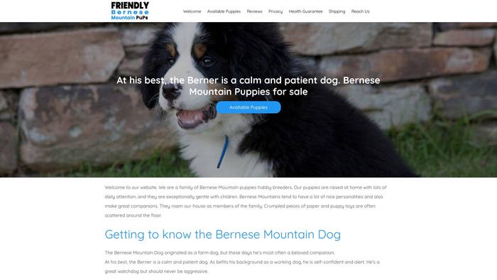 Friendlybernesemountainpups.com - Bernese Mountain Dog Puppy Scam Review