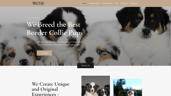 Friendlybordercolliepups.com - Bordercollie Puppy Scam Review