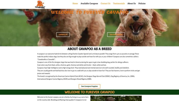 Furevercavapoos.com - Cavapoo Puppy Scam Review