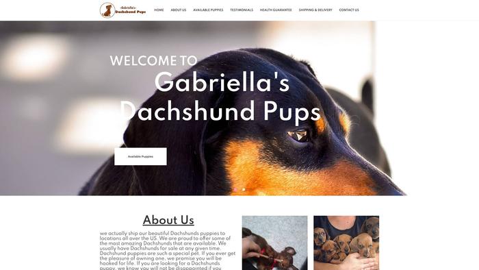 Gabrielladachshundpups.com - Dachshund Puppy Scam Review