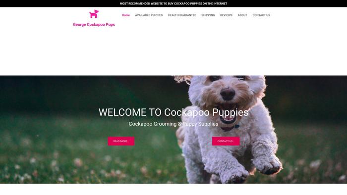 Georgecockapoopups.com - Cockapoo Puppy Scam Review