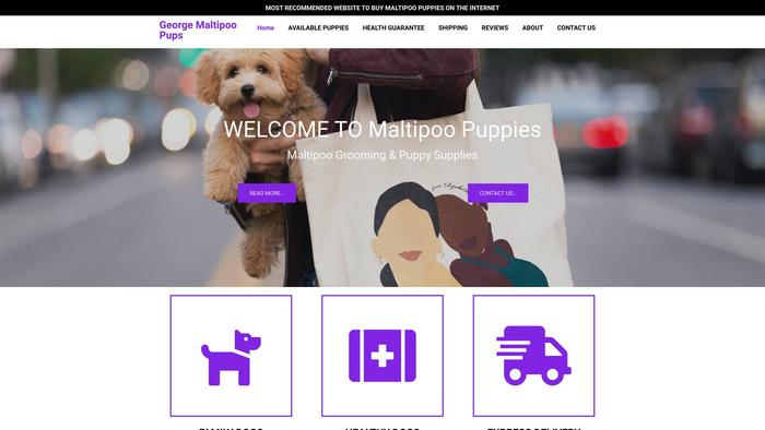 Georgemaltipoopups.com - Maltipoo Puppy Scam Review