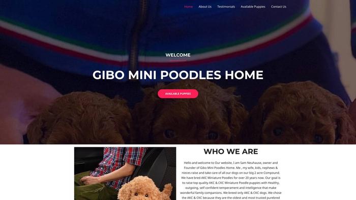 Gibominipoodles.com - Poodle Puppy Scam Review