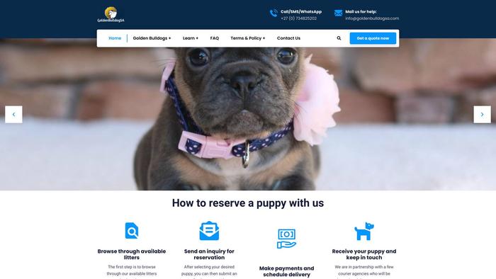 Goldenbulldogsa.com - English Bulldog Puppy Scam Review