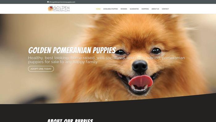 Goldenpomeranianpuppies.com - Pomeranian Puppy Scam Review