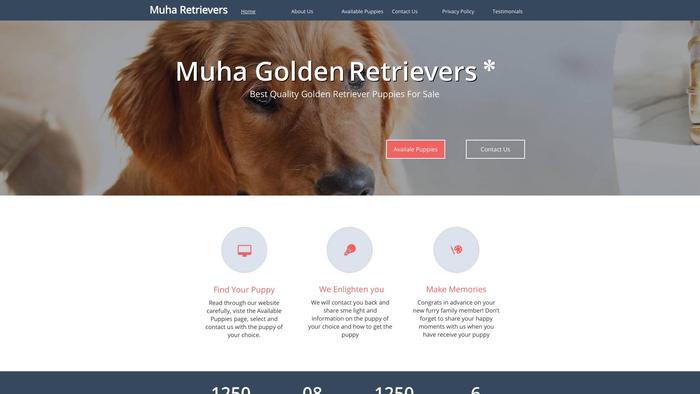 Goldenretrieverforyou.com - Golden Retriever Puppy Scam Review