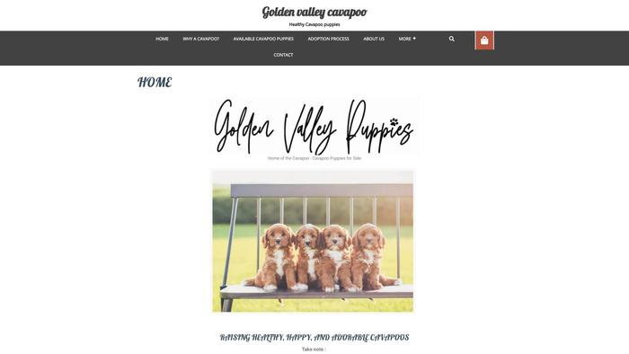 Goldenvalleycavapoo.com - Cavapoo Puppy Scam Review