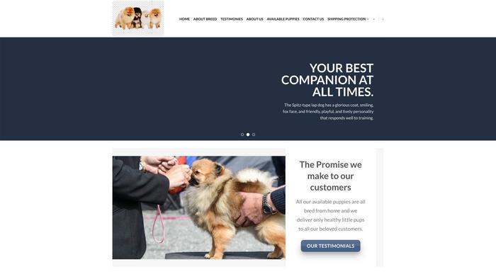 Gorgeouspompuppies.com - Pomeranian Puppy Scam Review