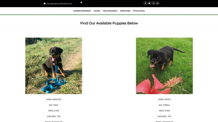 Gorgeousrottweilers.com - Rottweiler Puppy Scam Review