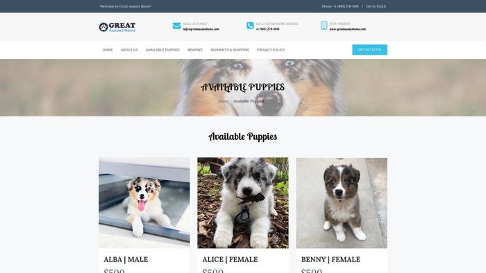 Greataussieshome.com - Australian Shepherd Puppy Scam Review