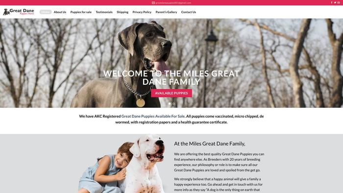 Greatdanepuppieshome.com - Great Dane Puppy Scam Review