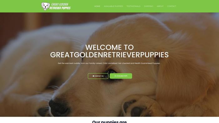 Greatgoldenretrieverpuppies.com - Golden Retriever Puppy Scam Review