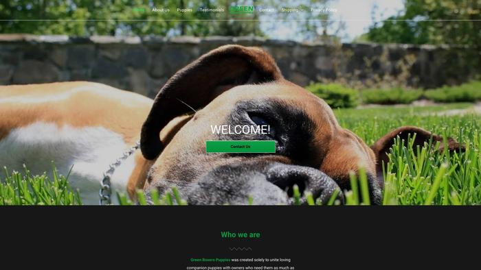 Greenboxerspuppies.com - Boxer Puppy Scam Review