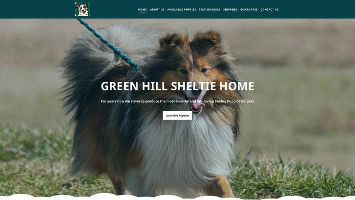 Greenhillsheltiehome.com - Australian Shepherd Puppy Scam Review