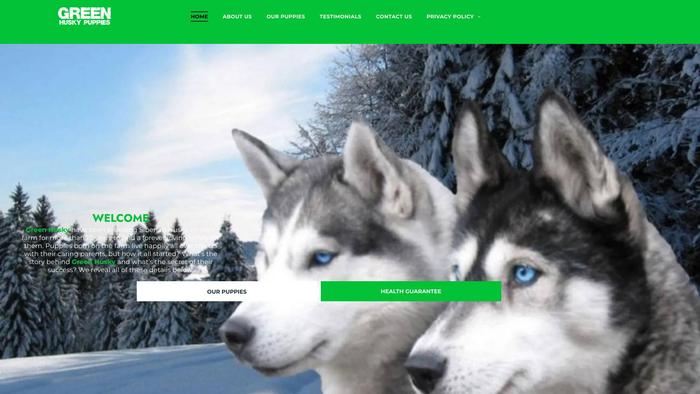 Greenshusky.com - Husky Puppy Scam Review