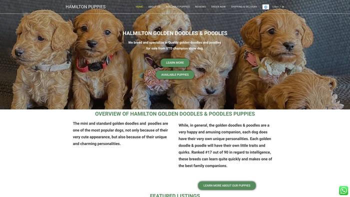 Hamiltongoldendoodlesandpoodles.com - Golden Doodle Puppy Scam Review