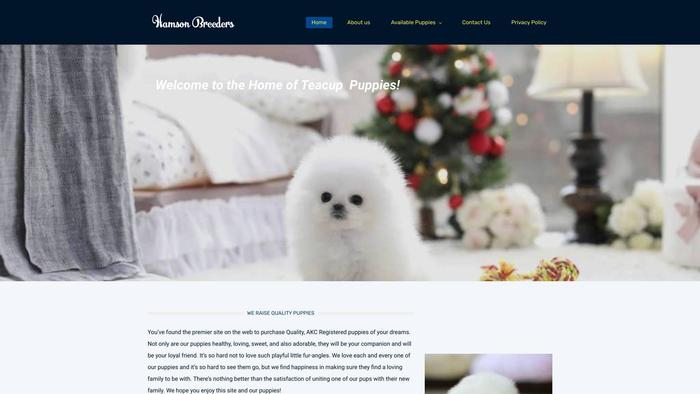 Hamsonbreeders.com - Yorkshire Terrier Puppy Scam Review