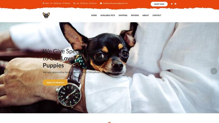 Healthychihuahuas.com - Chihuahua Puppy Scam Review