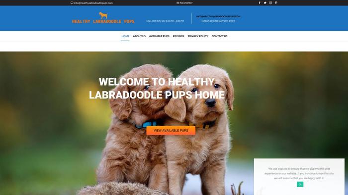 Healthylabradoodlepups.com - Labradoodle Puppy Scam Review