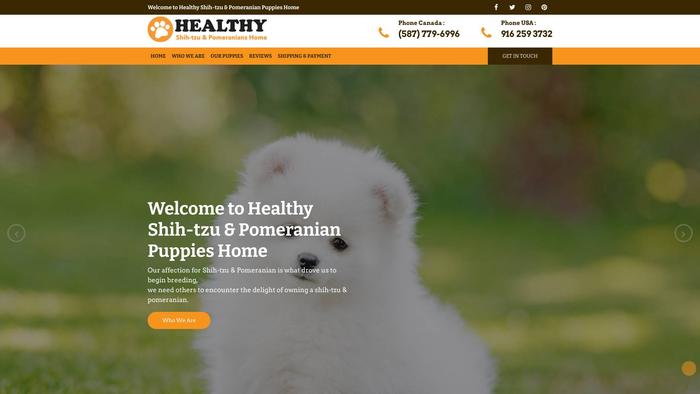 Healthyshihtzuandpomaranians.com - Pomeranian Puppy Scam Review